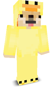 User's Minecraft appearance