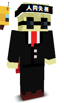 User's Minecraft appearance