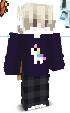 User's Minecraft appearance