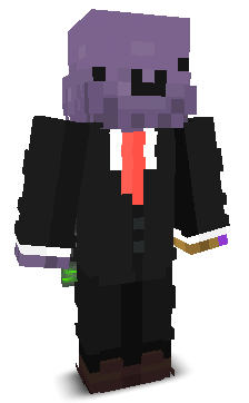 User's Minecraft appearance