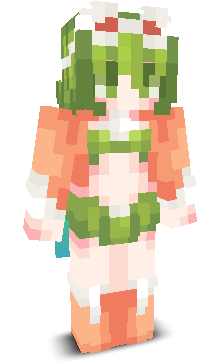 User's Minecraft appearance