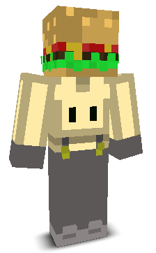 User's Minecraft appearance