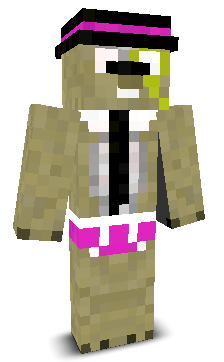 User's Minecraft appearance