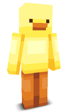 User's Minecraft appearance