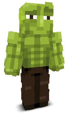 User's Minecraft appearance