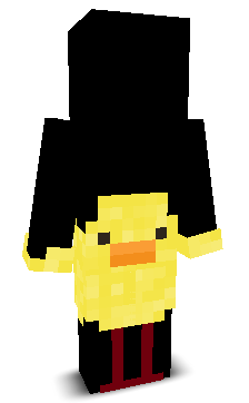 User's Minecraft appearance