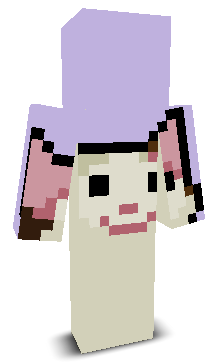 User's Minecraft appearance