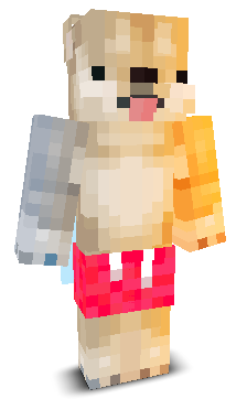 User's Minecraft appearance