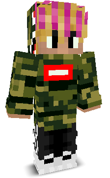 User's Minecraft appearance