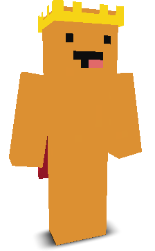 User's Minecraft appearance