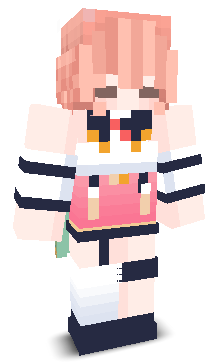 User's Minecraft appearance