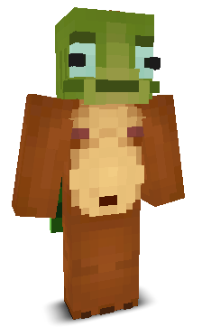 User's Minecraft appearance
