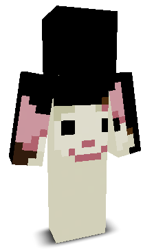 User's Minecraft appearance