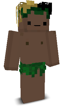 User's Minecraft appearance
