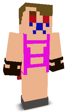 User's Minecraft appearance