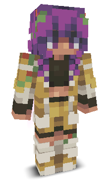 User's Minecraft appearance