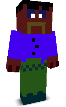 User's Minecraft appearance