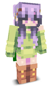 User's Minecraft appearance