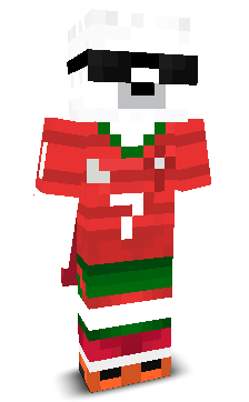 User's Minecraft appearance