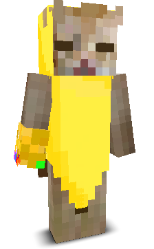 User's Minecraft appearance