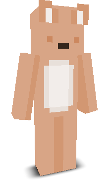 User's Minecraft appearance