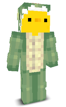 User's Minecraft appearance
