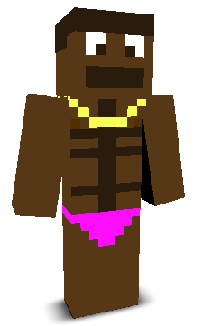 User's Minecraft appearance