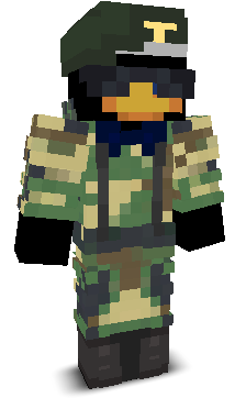 User's Minecraft appearance