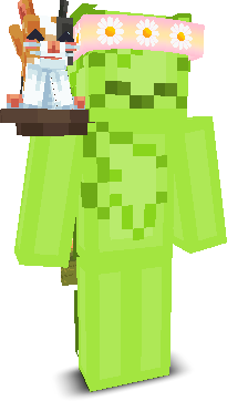 User's Minecraft appearance
