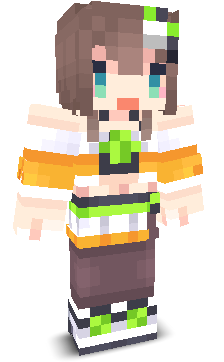 User's Minecraft appearance