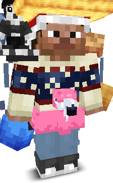 User's Minecraft appearance