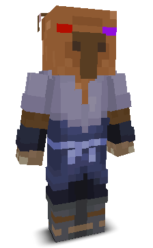 User's Minecraft appearance