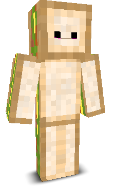 User's Minecraft appearance