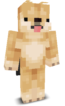 User's Minecraft appearance