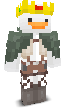 User's Minecraft appearance