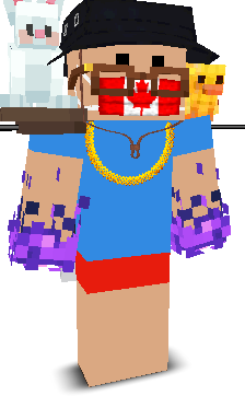 User's Minecraft appearance