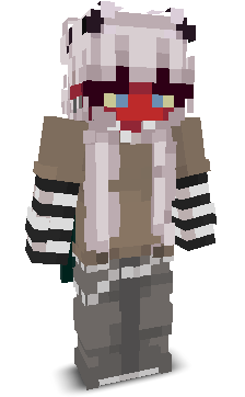 User's Minecraft appearance