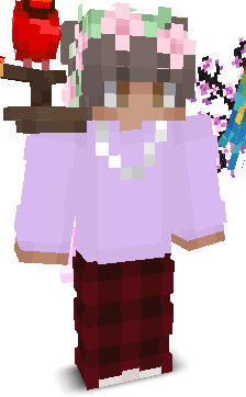 User's Minecraft appearance