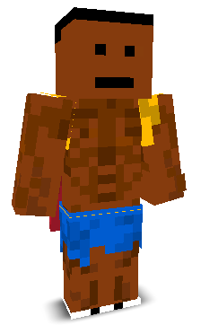 User's Minecraft appearance