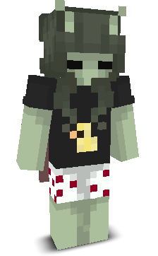 User's Minecraft appearance