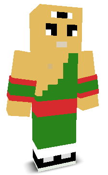 User's Minecraft appearance