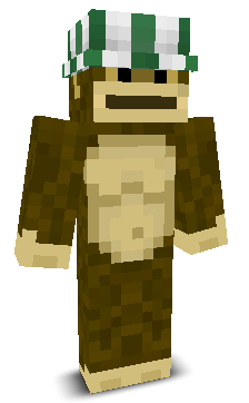 User's Minecraft appearance