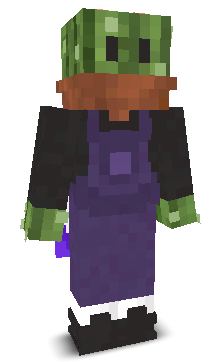 User's Minecraft appearance