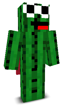 User's Minecraft appearance