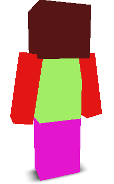 User's Minecraft appearance