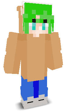 User's Minecraft appearance