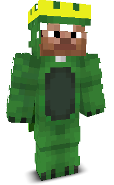 User's Minecraft appearance