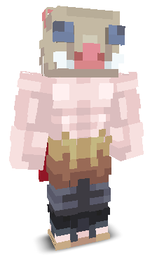 User's Minecraft appearance