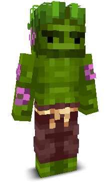 User's Minecraft appearance
