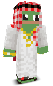 User's Minecraft appearance